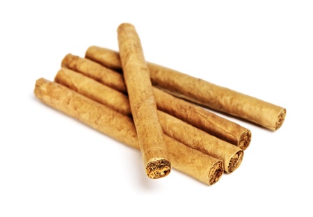 little cigars close up, isolated on whiteの写真素材
