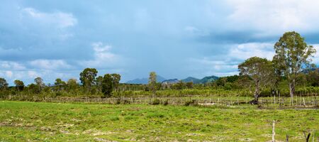 green landscape at summer day in Thailandの写真素材
