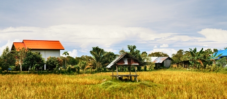 green landscape at summer day in Thailandの写真素材