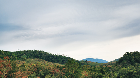 mountains with green trees in Krabi, Thailandの写真素材