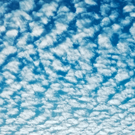 cloudscape with altocumulus clouds  at sunny dayの写真素材