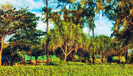 thypical rural landscape in Koh Lanta, Thailandの写真素材