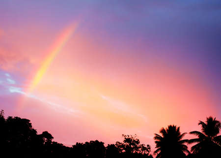 beautiful sunset with rainbow over jungle, thailandの写真素材