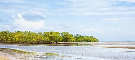 andaman sea shore at low tide, thailandの写真素材