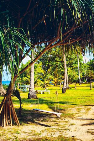 swing under tree in jungle resort, Krabi, Thailandの写真素材