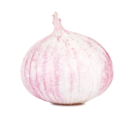 chinese solo garlic, isolated on white backgroundの写真素材