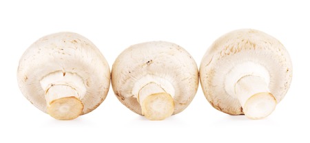 fresh champignon mushrooms, isolated on white backgroundの写真素材