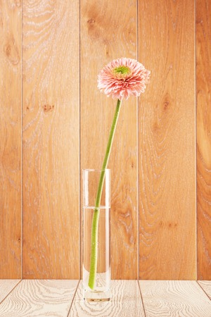 pink gerbera daisy flower in vase on wooden backgroundの写真素材