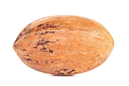 single pecan nut in a shell, isolated on white background