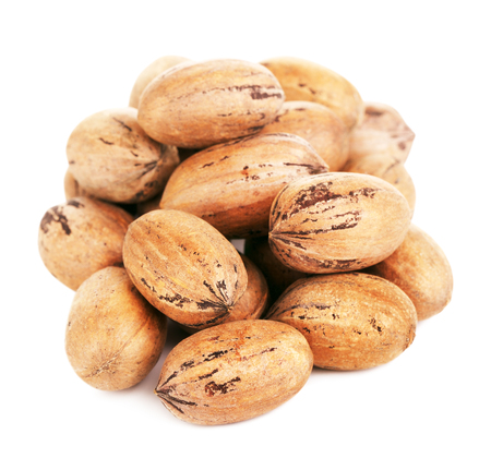 pecan nuts in a shell, isolated on white backgroundの写真素材