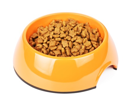 dry cat food in yellow bowl, isolated on white backgroundの写真素材