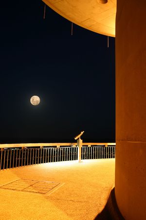 Night scene on the Telstra tower (Canberra, Australia) with binoculars and the moon.の写真素材