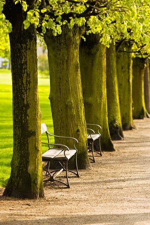Benches in a public parkの写真素材