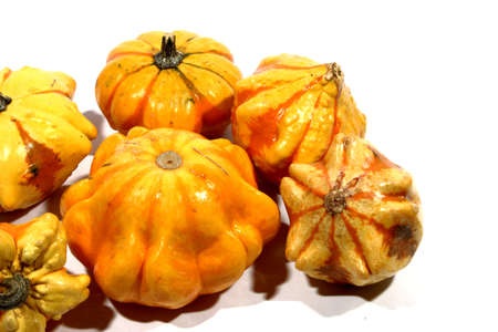 Different isolated colorful gourds laying in a pileの写真素材