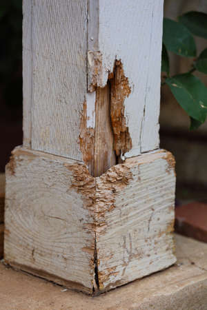 Close up view of termite damage on a outside pillar of a houseの写真素材