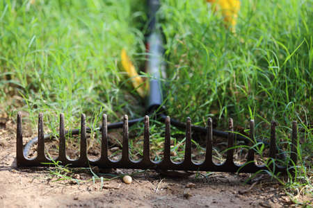Close up view of someone using a bow rake の写真素材