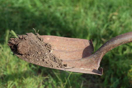 A shovel, or spade, holding up dirt above the groundの写真素材