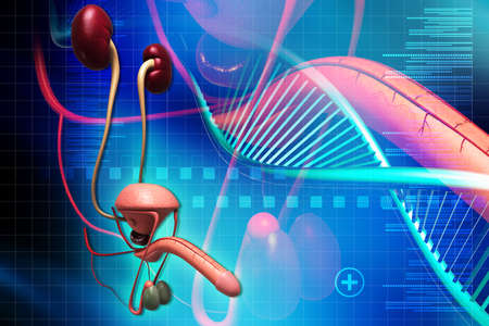 Digital illustration of a dna in white background