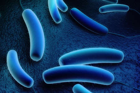 Digital illustration of Coli bacteria in colour background	
