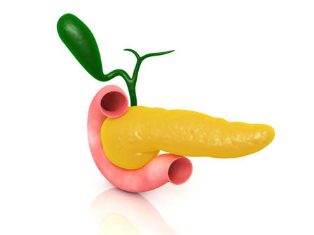 Digital illustration of pancreas in colour backgroundの写真素材
