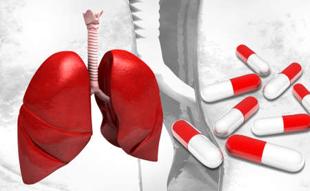 digital illustration of a Human lungs in colour backgroundの写真素材