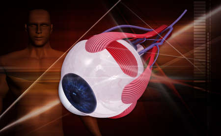 digital illustration of a human eye in white backgroundの写真素材