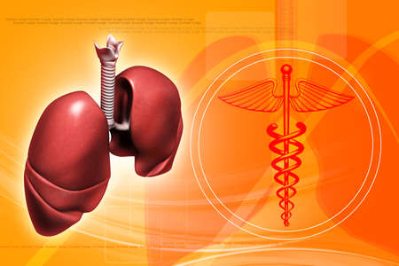 digital illustration of human lungs with medical symbol in digital backgroundの写真素材