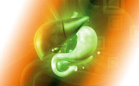  Digital illustration of stomach and liver in colour backgroundの写真素材