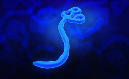 Digital illustration of ebola virus in colour background