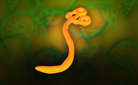 Digital illustration of ebola virus in colour background