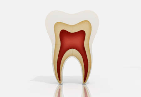 Digital illustration of Tooth in colour backgroundの写真素材