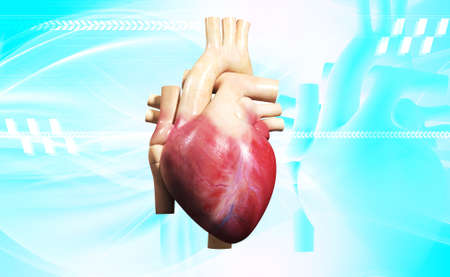 digital illustration of a human heart in colour backgroundの写真素材