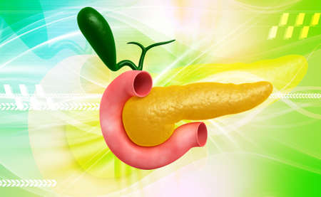 Digital illustration of pancreas in colour backgroundの写真素材