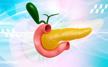 Digital illustration of pancreas in colour backgroundの写真素材