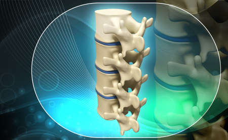 Digital illustration of human spine in colour background