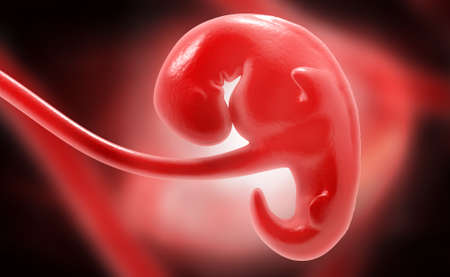 digital illustration of embryonic development in digital backgroundの写真素材