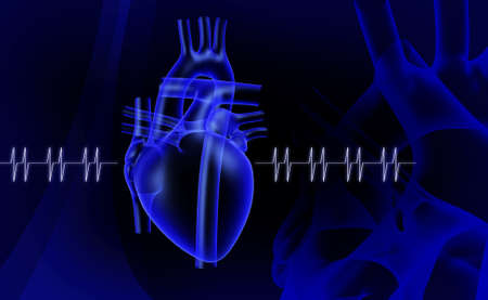digital illustration of a human heart in colour backgroundの写真素材