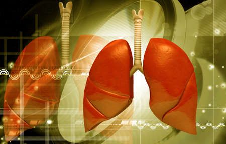digital illustration of human lungs in colour backgroundの写真素材