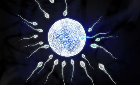 Digital illustration of sperm and egg in colour backgroundの写真素材