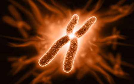 Digital illustration of chromosome in digital backgroundの写真素材