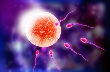 Digital illustration of sperm and egg in colour background
