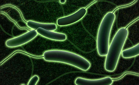 Digital illustration of Coli bacteria in colour background