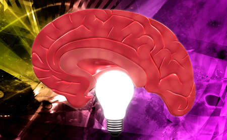 X- ray human brain top view