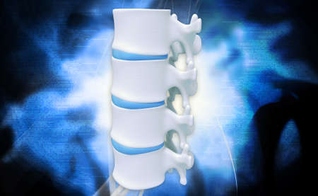 Digital illustration of human spine in colour background
