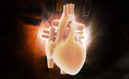 Digital illustration of human heart in colour background