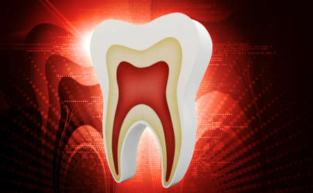 Digital illustration of tooth structure in digital backgroundの写真素材