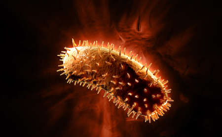 Digital illustration of rabies virus in colour background