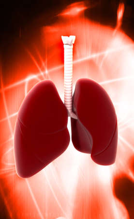 Digital illustration of lungs in colour backgroundの写真素材
