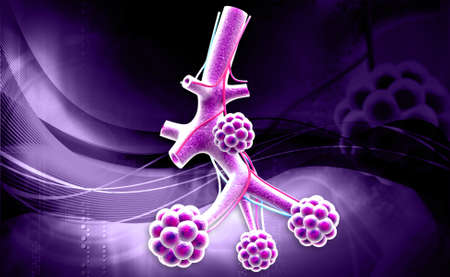digital illustration of Alveoli in digital background