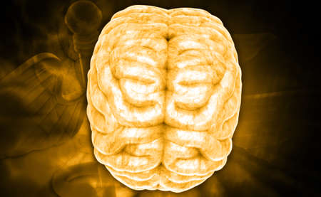 Digital illustration of brain in colour background
